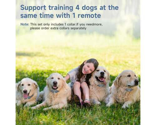 Нашийник для дресирування собак KAIYIKAPET із дистанційним керуванням до 1200 м