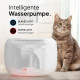 Фонтанчик для котів PrettyPaw 2,5 л зі світлодіодом та фільтром з активованим вугіллям