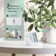 Термометр-гігрометр Inkbird IBS-TH3-PLUS з Wi-Fi з РК-екраном