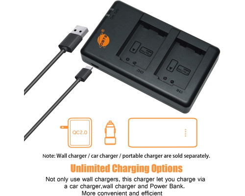 Акумулятор USB Dual Quick Charger для Lumix