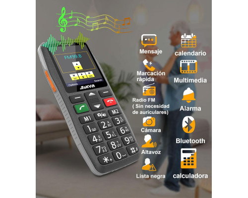 Мобільний телефон T102 TOKVIA