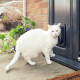 Дверцята для кішок SURE PETCARE 22x23 cм