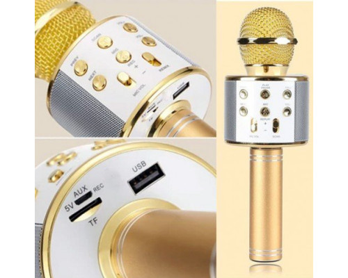 Бездротовий ручний караоке-мікрофон Karaoke WS-858 BRAND YUVA