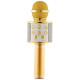 Бездротовий ручний караоке-мікрофон Karaoke WS-858 BRAND YUVA