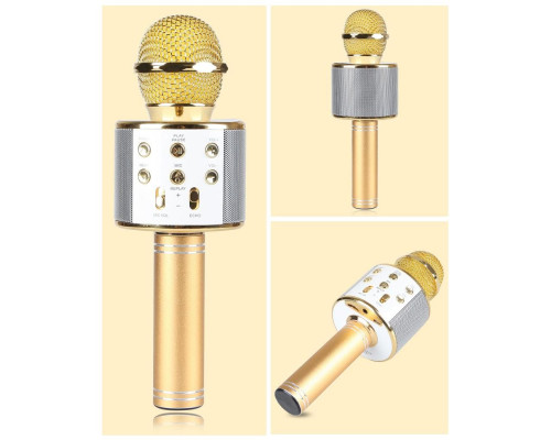 Бездротовий ручний караоке-мікрофон Karaoke WS-858 BRAND YUVA