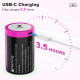 Акумуляторні батарейки 8800mWh з USB-C зарядкою (комплект 2 шт)