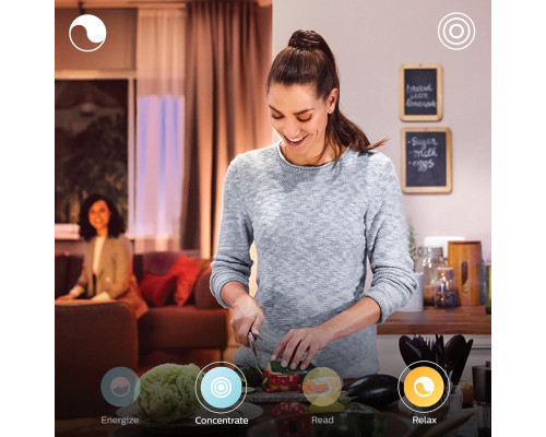 Розумна LED лампа Philips Hue E27 600 лм з голосовим керуванням